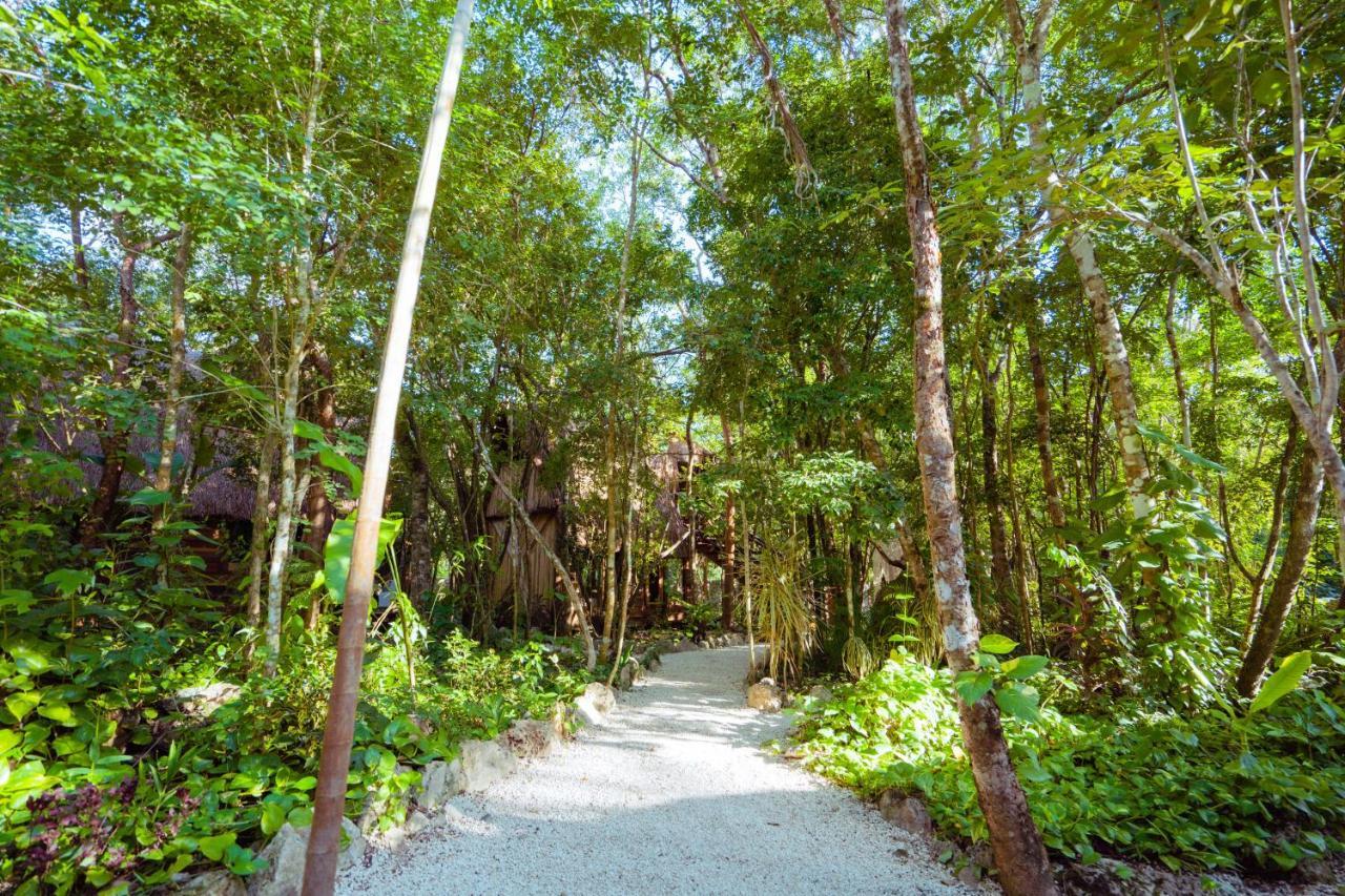 Madre Tierra Eco Habitat *