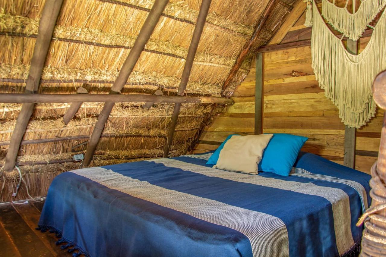 Madre Tierra Eco Habitat *