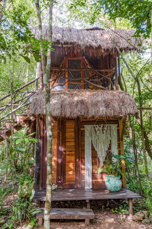 Madre Tierra Eco Habitat *