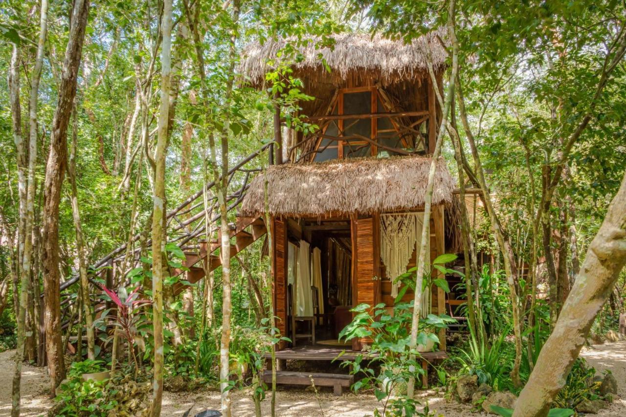 Madre Tierra Eco Habitat Puerto Morelos