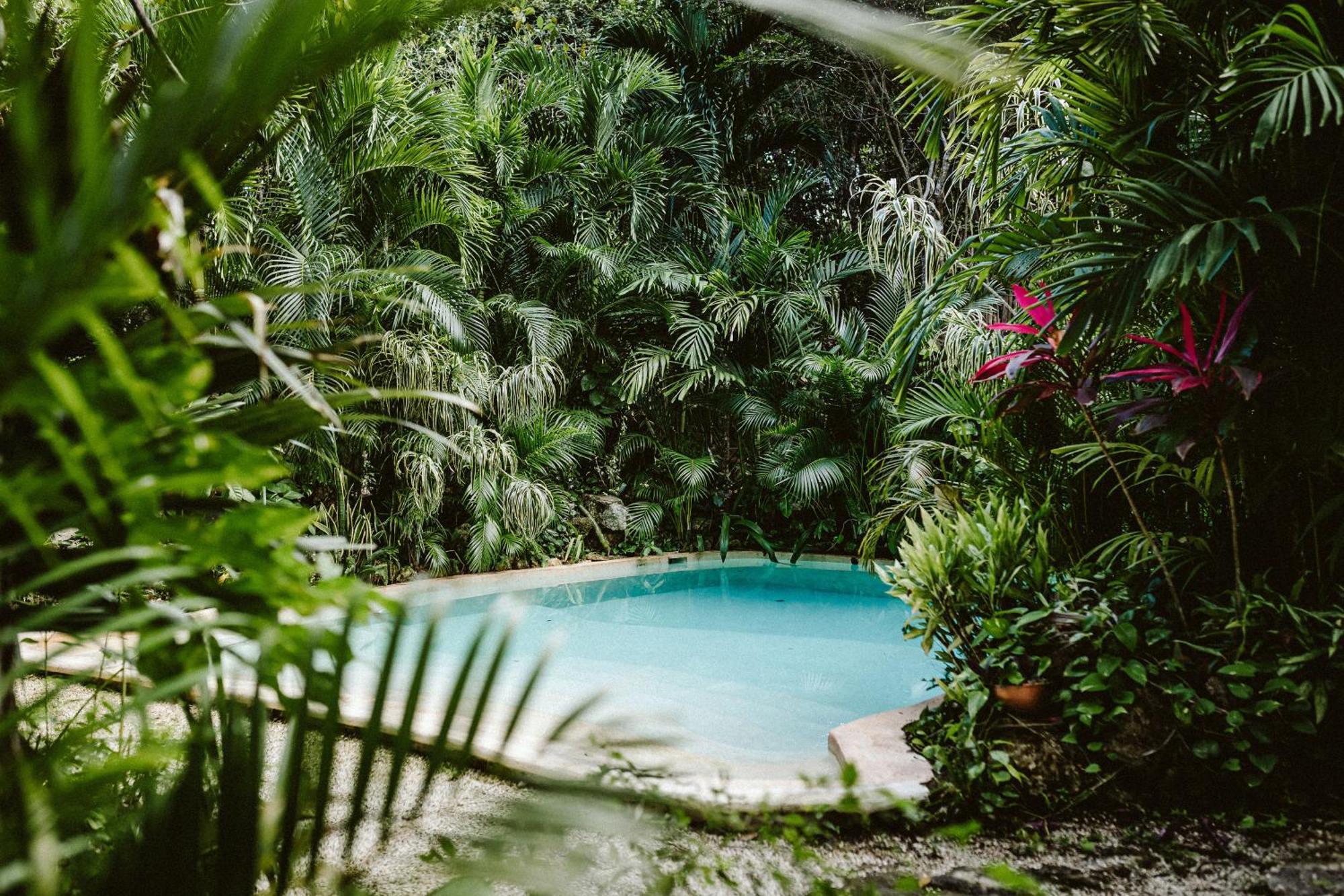 Landhaus Madre Tierra Eco Habitat