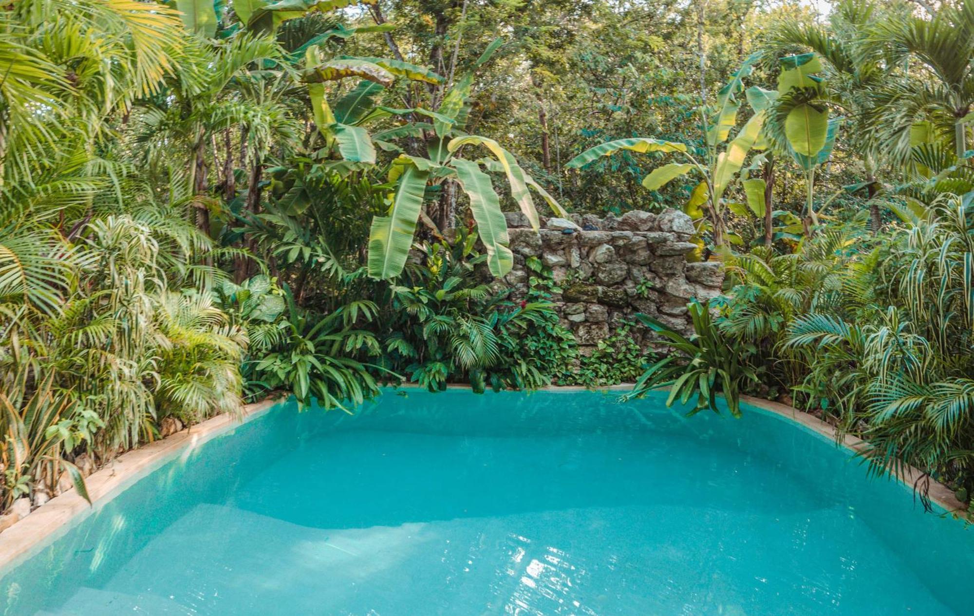 Madre Tierra Eco Habitat *