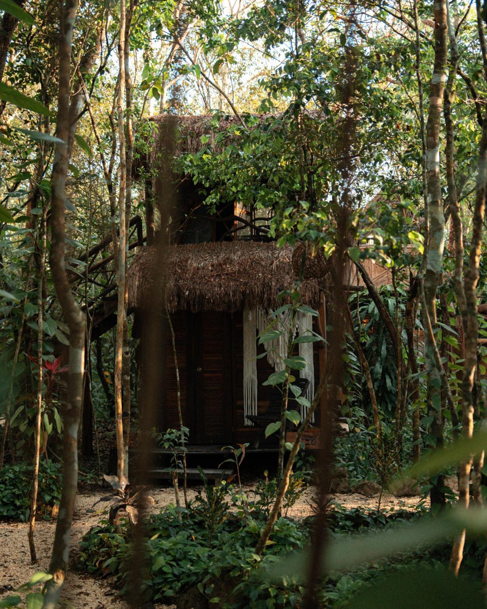 Landhaus Madre Tierra Eco Habitat