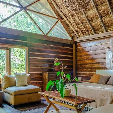 Madre Tierra Eco Habitat Guest House Puerto Morelos Exterior photo