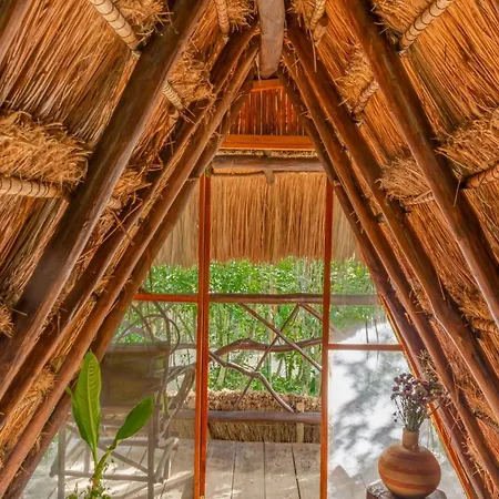 Madre Tierra Eco Habitat Guest House Puerto Morelos Exterior photo