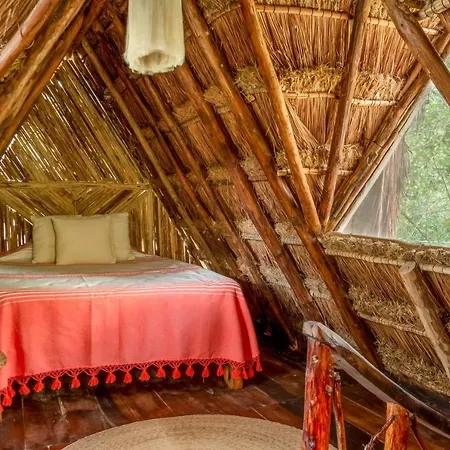 Madre Tierra Eco Habitat Guest House Puerto Morelos Exterior photo