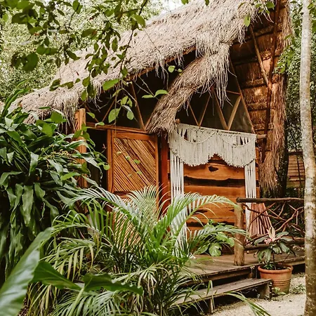 Madre Tierra Eco Habitat Guest House Puerto Morelos Exterior photo