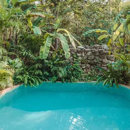 Madre Tierra Eco Habitat Guest House Puerto Morelos Exterior photo