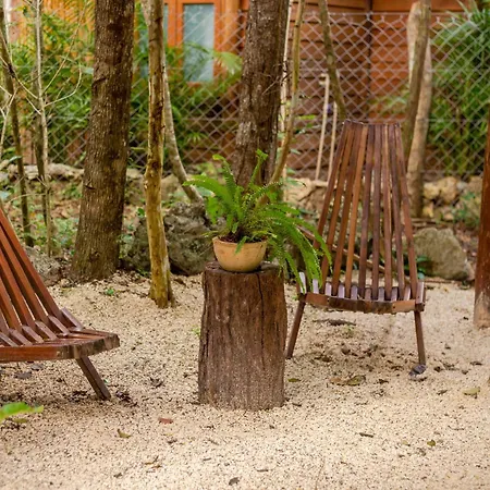 Madre Tierra Eco Habitat Guest House Puerto Morelos Exterior photo